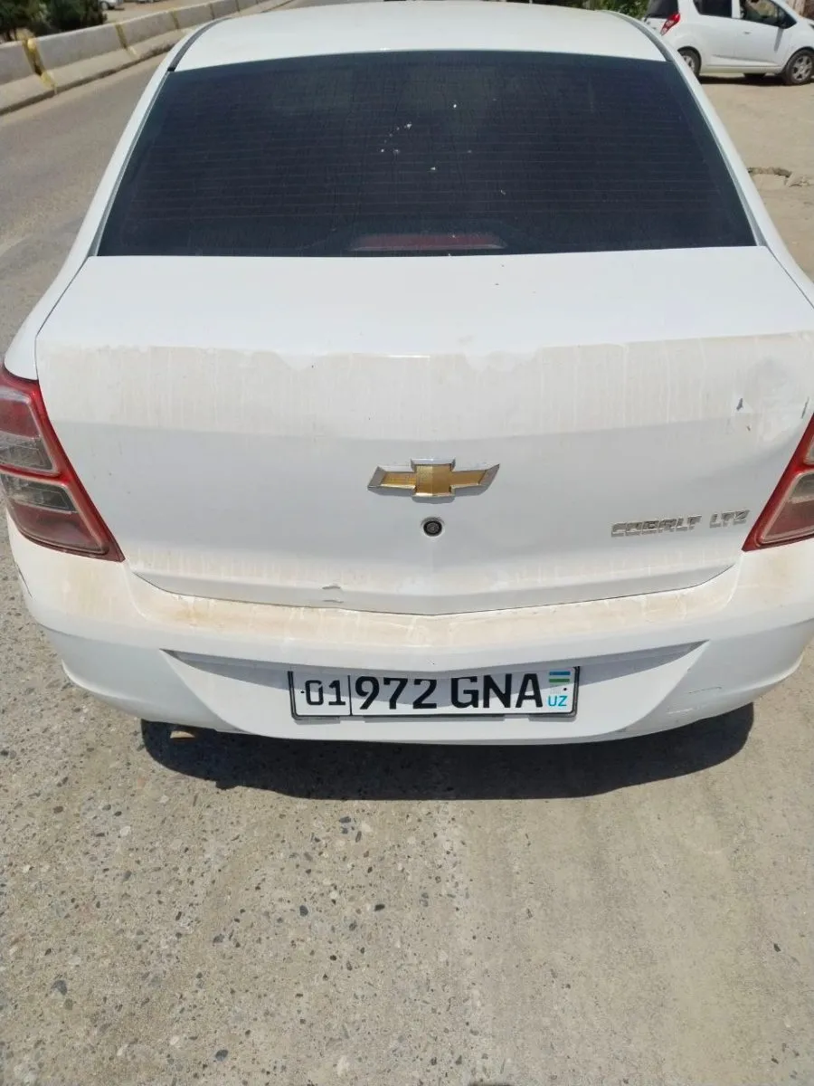 COBALT Lot raqami: 24121250