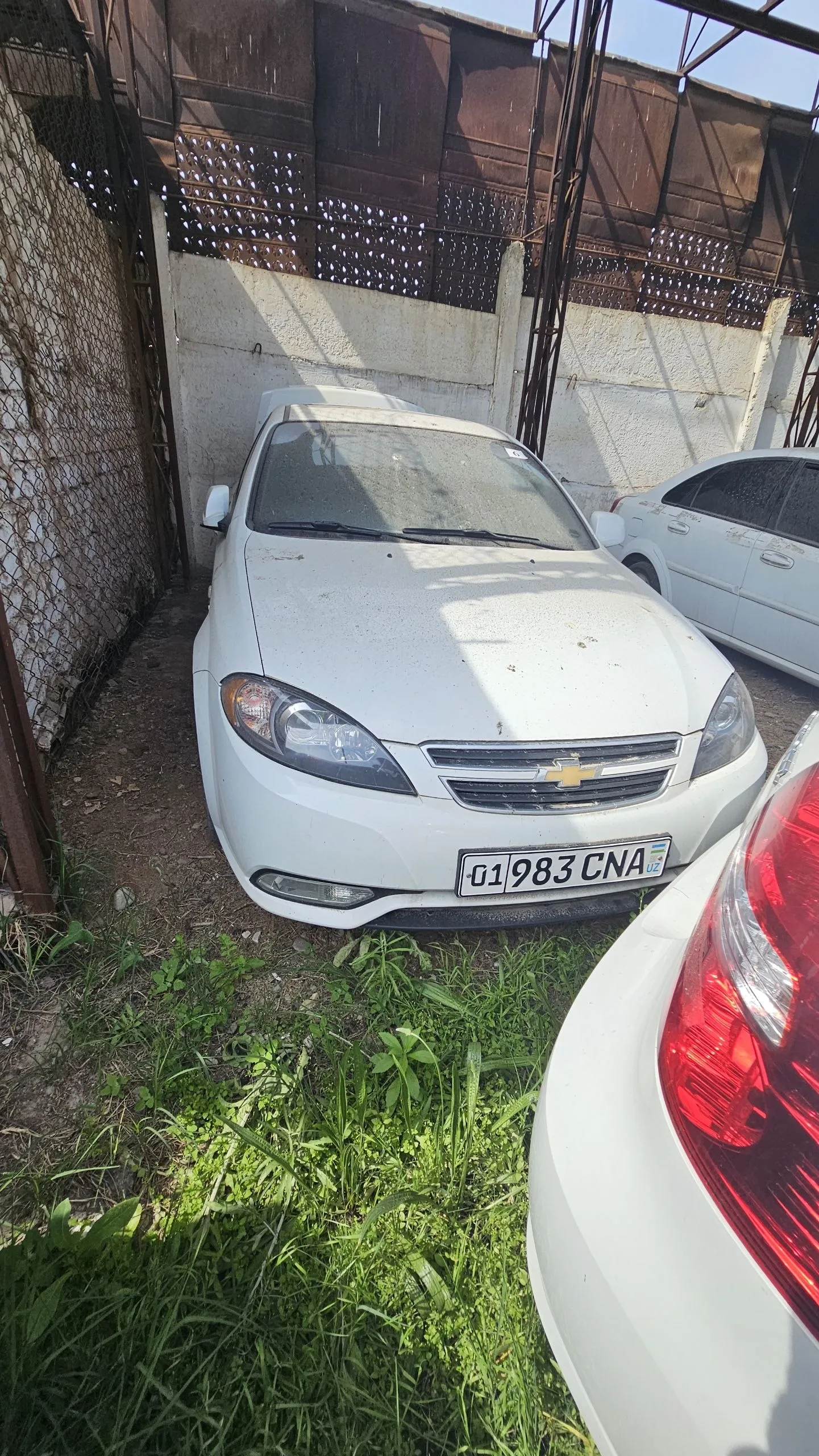 GBA SPG Lacetti BVD Lot raqami: 0005987