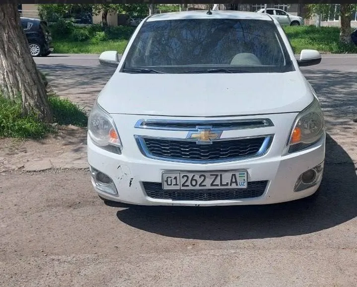 COBALT Lot raqami: 0005584