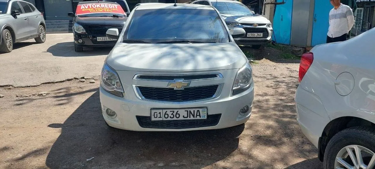 COBALT Lot raqami: 0005586