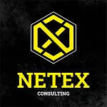 NETEX CONSULTING