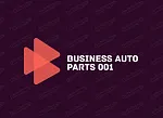 BUSINESS AUTO PARTS 001