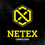 NETEX CONSULTING