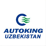 Autoking