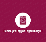 Hamroyev Fayyoz Fayzullo Ugli 1