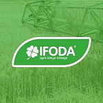 Ifoda